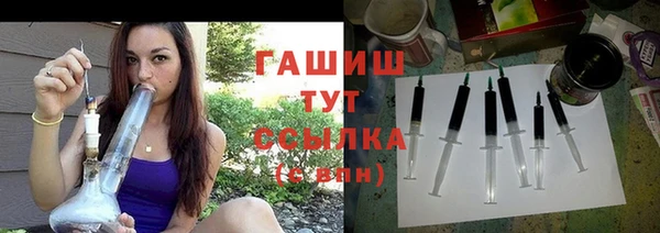хмурый Арсеньев