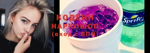 хмурый Арсеньев