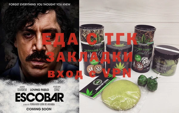 хмурый Арсеньев