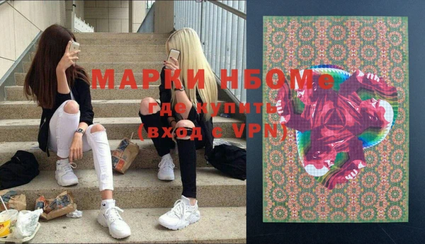 хмурый Арсеньев