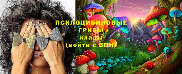 хмурый Арсеньев